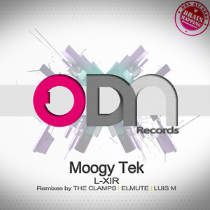 Moogy Tek (Original Mix)