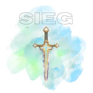 3b) Im Sieg