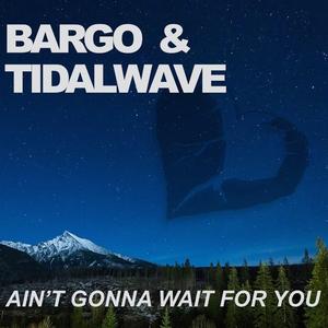 Ain't Gonna Wait For You (feat. Tidalwave) (Radio Edit)