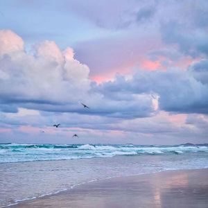 海城（翻自 徐明浩）