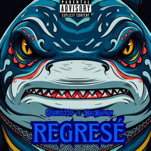 Regresé