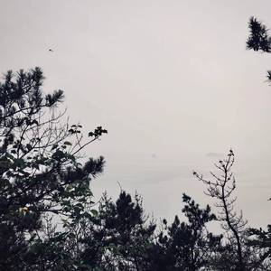额尔古纳