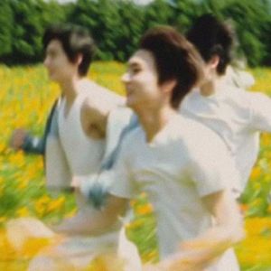 Orange Flower (You Complete Me)