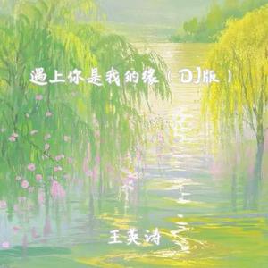 遇上你是我的缘  (DJ电摇版)