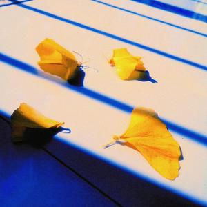 跑调情歌 （蚊子战歌版）