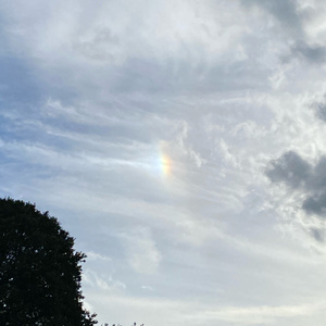 The Dream Is Coming (Instrumental Version)