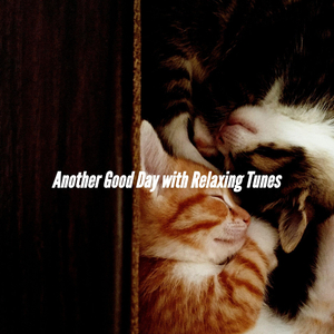 Paradise Like Music for Spring Cleaning