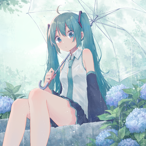 紫阳花、晴时雨