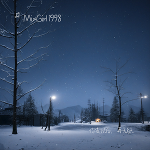 你走以后，再无白天 伴奏