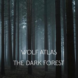 The Dark Forest (Post Rock Version)