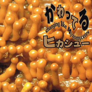 日本の笑顔 テーマと14のバリエーション