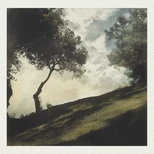 Peaceful Meadow (Noise)