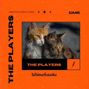 ไม่ใช่คนที่เธอฝัน