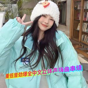 DJ国飞-重低音劲爆全中文立体声嗨曲串烧（DJ国飞 remix）