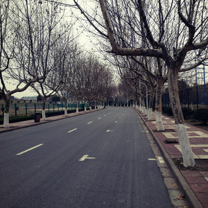 成都（南工院版，翻自 赵雷）