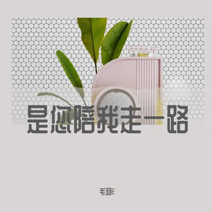 是您陪我走一路（电音版）