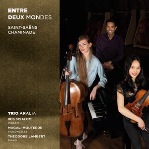 Trio No. 2 pour piano et cordes en Mi Mineur , Op. 92: V. Allegro