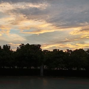 微醺脸庞(prod by lisure)