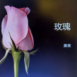 玫瑰 prod by FRESH_ye