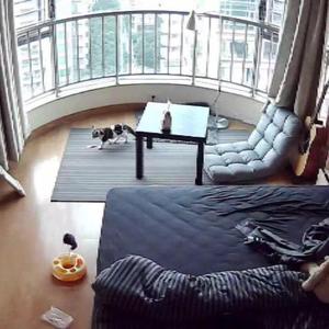 弥补了遗憾会不会改变时间线