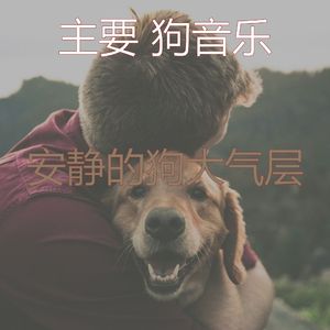 抚慰的训练犬回忆