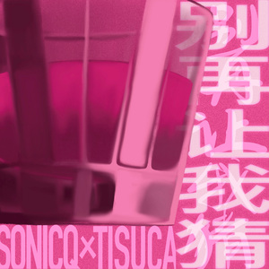 别再让我猜(feat.TiSuCa)