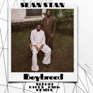 Nitori (feat. Boybreed & Dicey_omg) (Remix)