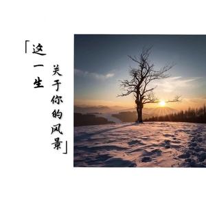这一生关于你的风景