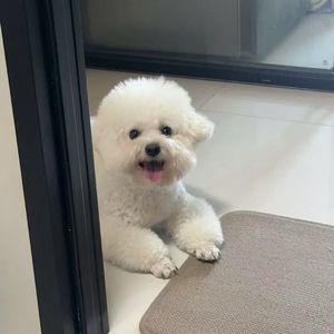 《柴米油盐里的永恒追光》