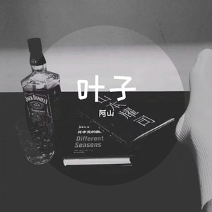 录音成品 919 伴奏
