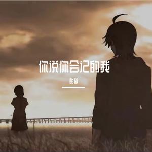 你说你会记得我