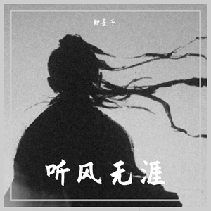 听风无涯