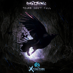 Tears Don't Fall (Original Mix)