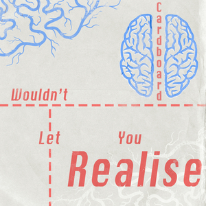 Wouldn't Let You Realise