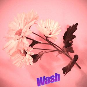 Wash