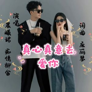 真心真意去爱你