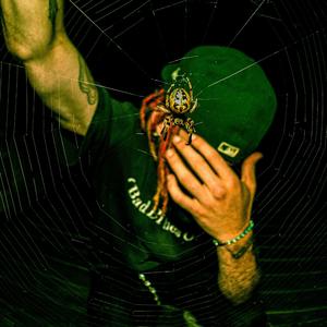 DIAMOND FANG VAMP (feat. LuminBeats)