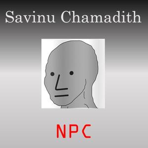 POV: Imagine you are an NPC