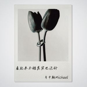 看起来不错其实也还好