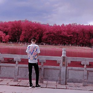 你是我的小公主