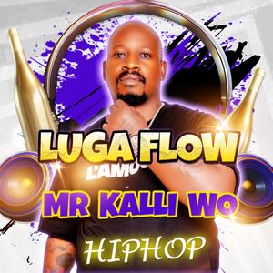 LUGA FLOW