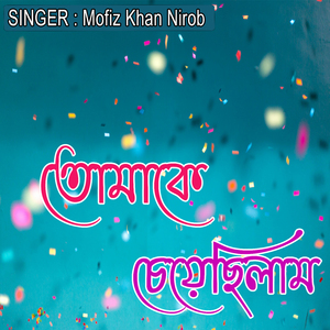 তোমাকে চেয়েছিলাম