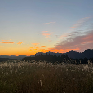 bad day (feat. Err Dali & Lil Yeek)