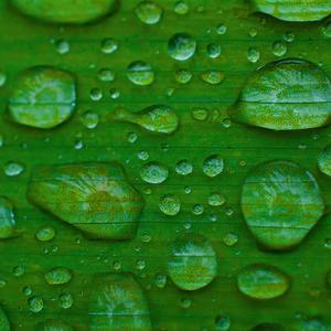 Endormez-vous (parfait bruit de la pluie)