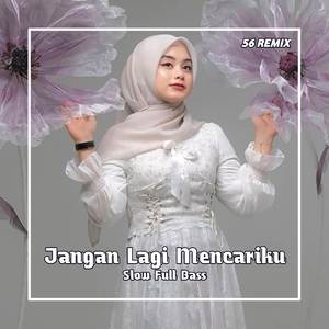 DJ Jangan Lagi Mencariku