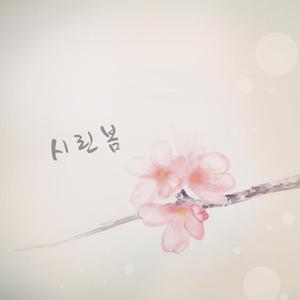 시린봄(inst.)