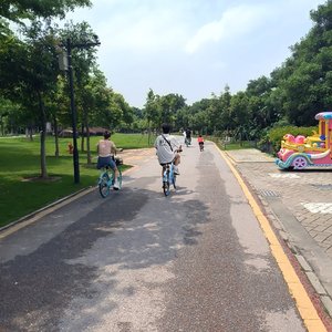 李润祺-茫茫人海中（风来飞鸟 remix）