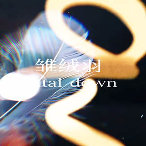 雏绒羽