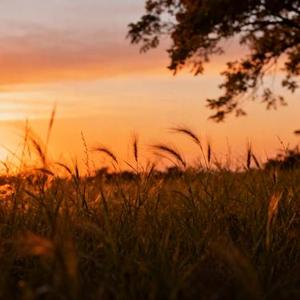 得意的笑 (雷鬼男版)