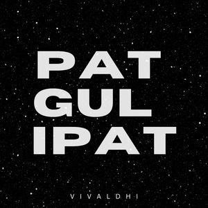 Patgulipat